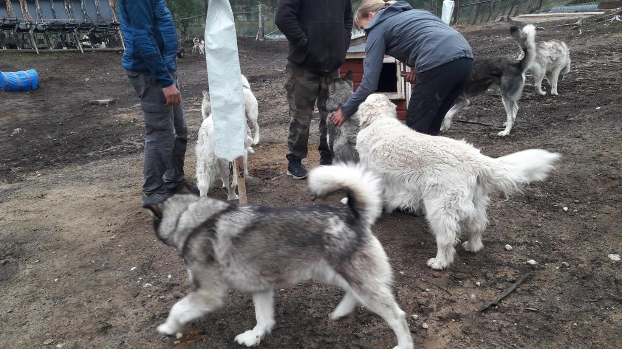 Cabin At Huskies Farm Інарі Екстер'єр фото